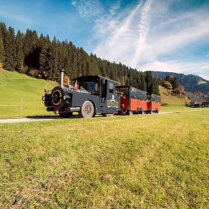 Bummelzug Wildschönau