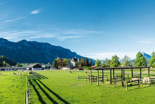 Fohlenhof_Ebbs_photographer_Christian_Kapfinger